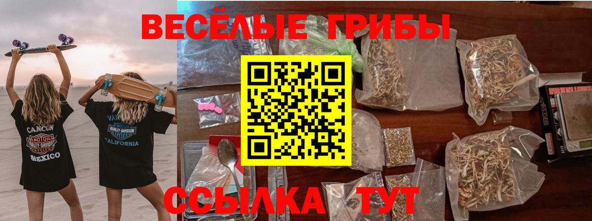 Галлюциногенные грибы мицелий  Вход с VPN  Скопин 